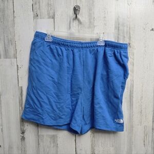 The North Face Mens Blue Shorts Size XL
